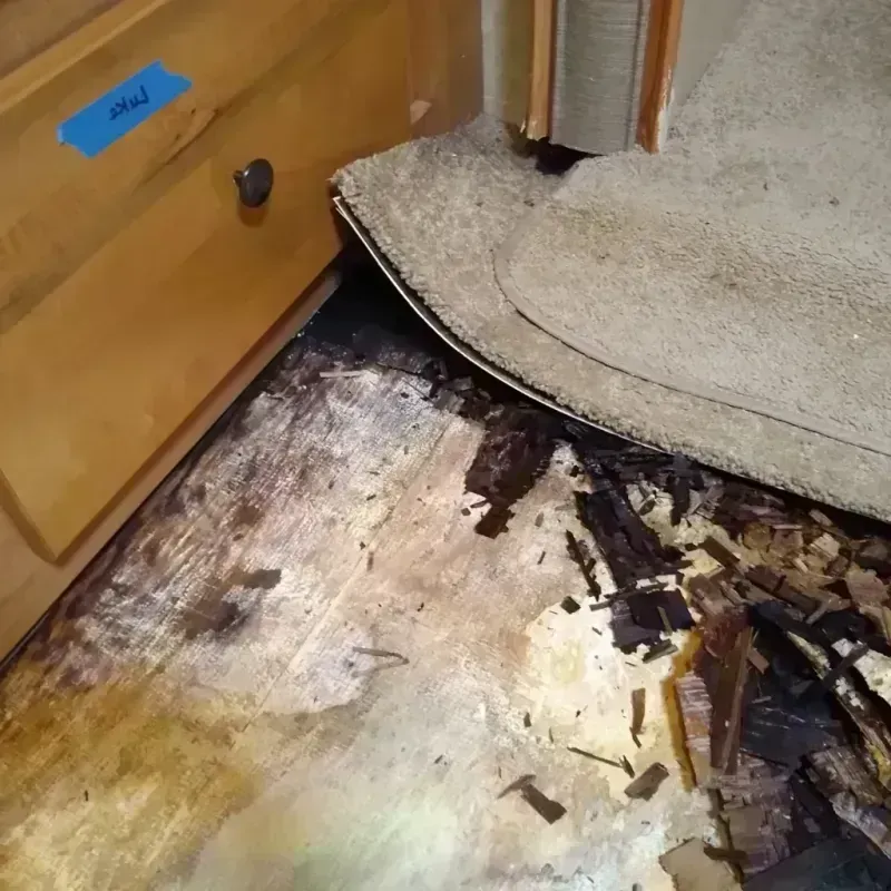 Best Wood Floor Water Damage Service in Lowndes County, GA